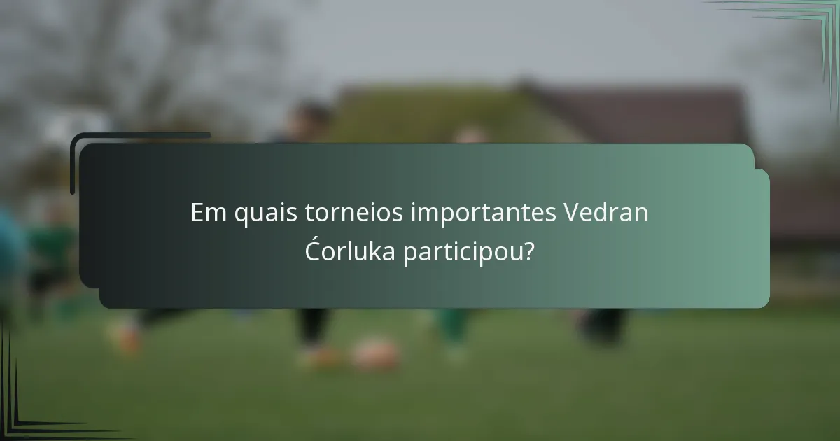 Em quais torneios importantes Vedran Ćorluka participou?